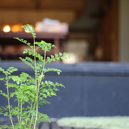 晴家 Guest House Fujikawaguchiko Esterno foto