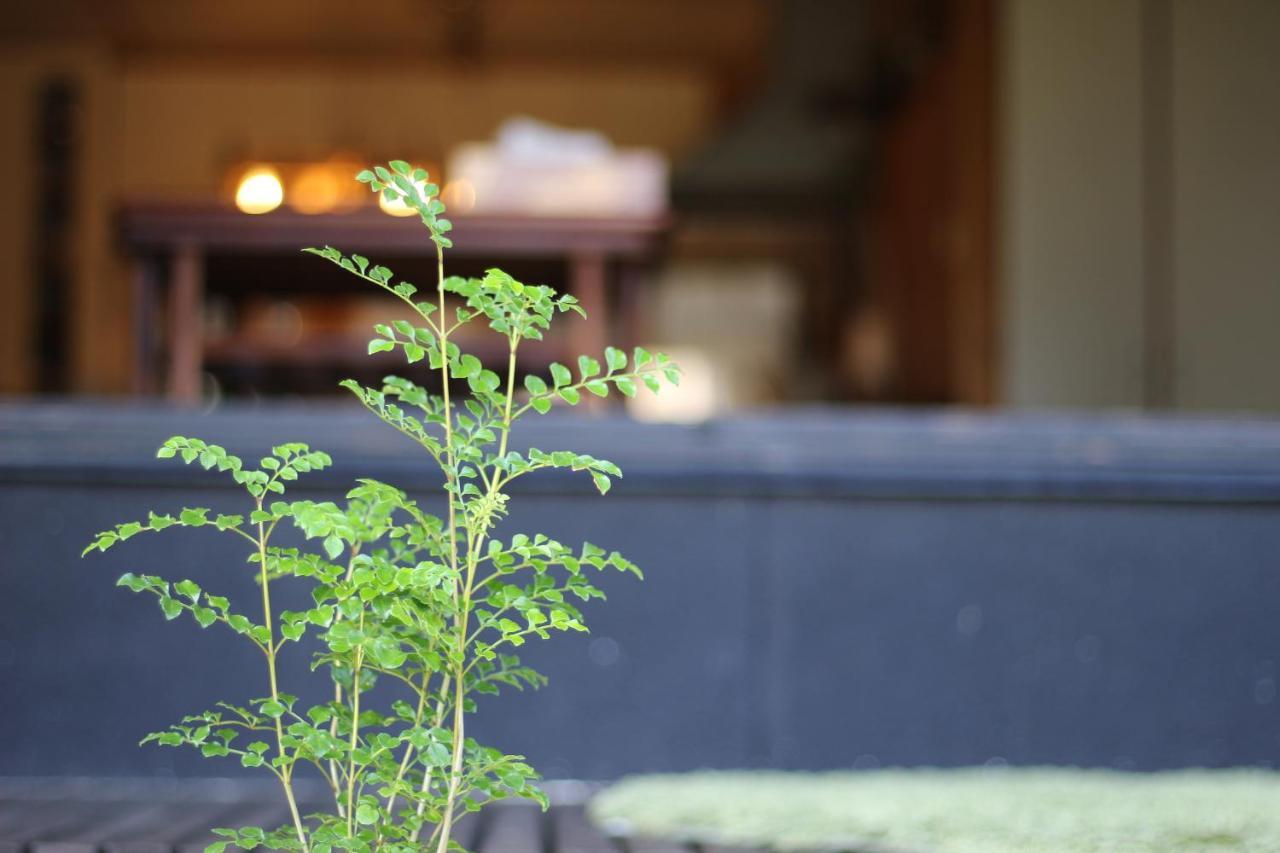 晴家 Guest House Fujikawaguchiko Esterno foto