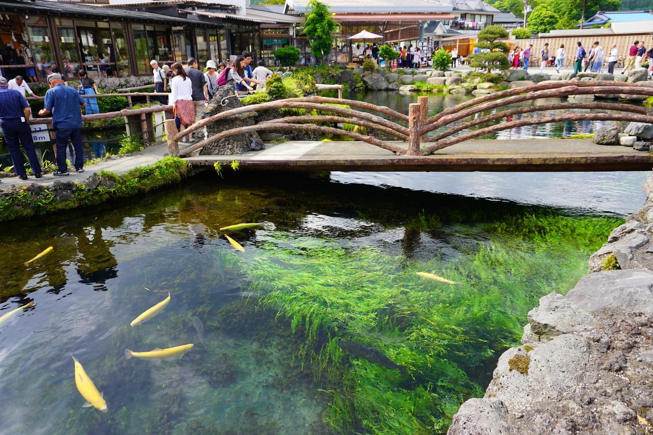 晴家 Guest House Fujikawaguchiko Esterno foto
