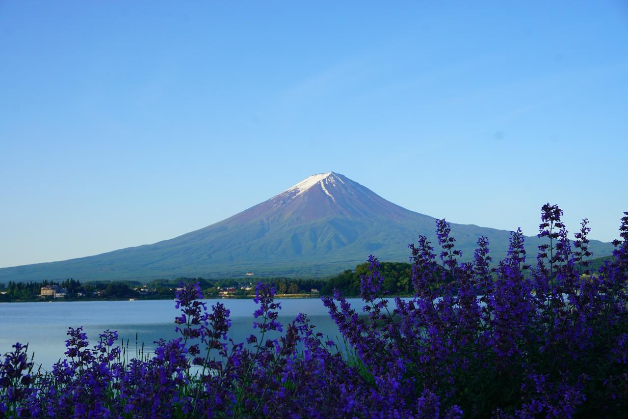 晴家 Guest House Fujikawaguchiko Esterno foto